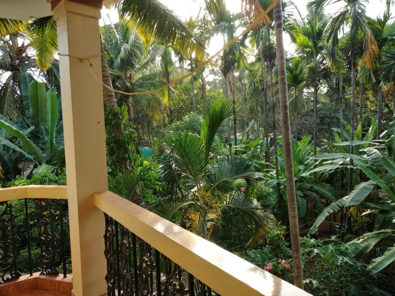 Indraprasth Apartment Palolem Extérieur photo