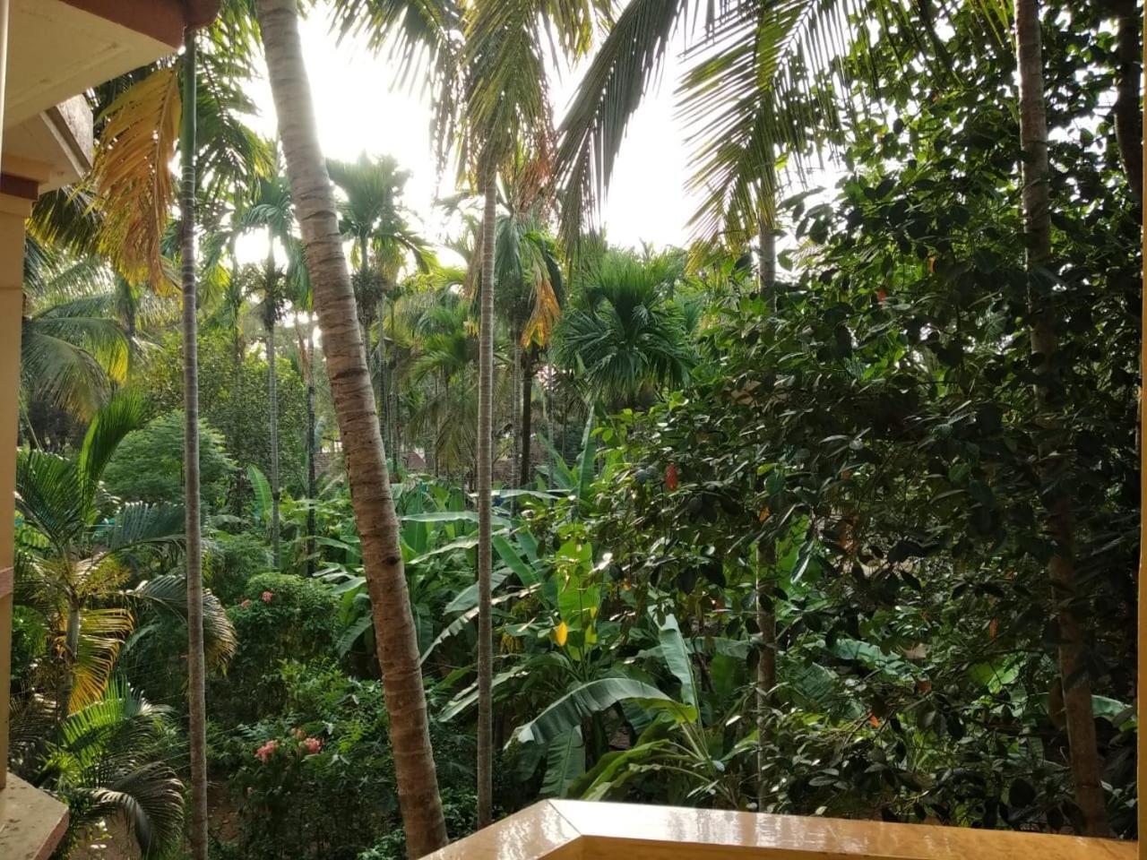 Indraprasth Apartment Palolem Extérieur photo